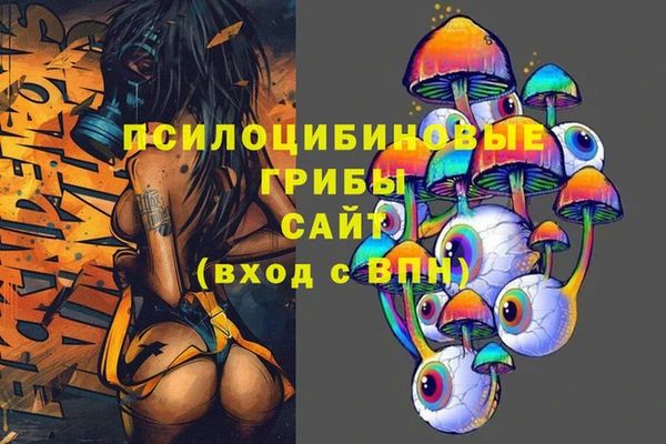 ECSTASY Белокуриха